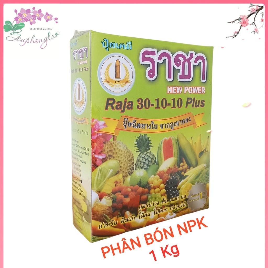 Phân bón lá cao cấp Thái Lan RAJA Npk 30-10-10 plus hộp 1kg đâm chồi, đẻ nhánh tốt dùng cho giai đoạn đang phát triển