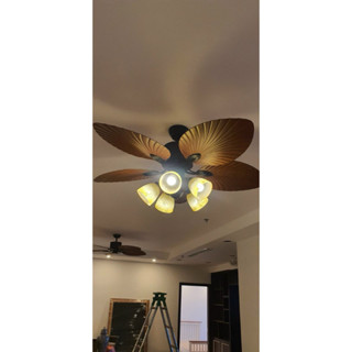 Quạt trần đèn 5 cánh lá cọ, Động cơ DC lõi đồng