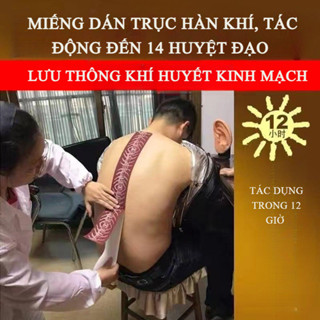 Miếng Dán Sống Lưng Trục Hàn Khí - Tác Động 14 Huyệt Đạo Hỗ trợ lưu thông khí huyết