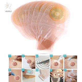 Hnkmp 10X Hệ thống một mảnh Túi đựng phân tử Bộ túi đơn có thể thoát nước bằng xương dùng một lần.