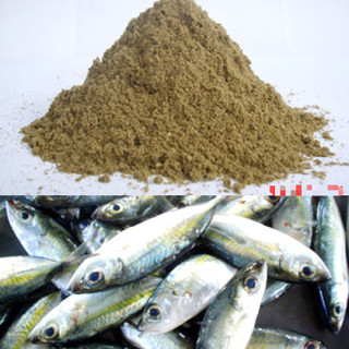  1kg Bột Cá Xay Làm Thức Ăn Cho Gà Đẻ Bột Cá Xay Mồi Câu Cá Bột Cá Tanh Làm Thức Ăn Cho Cá Bột Cá Xay Mồi Câu Cá Tra 