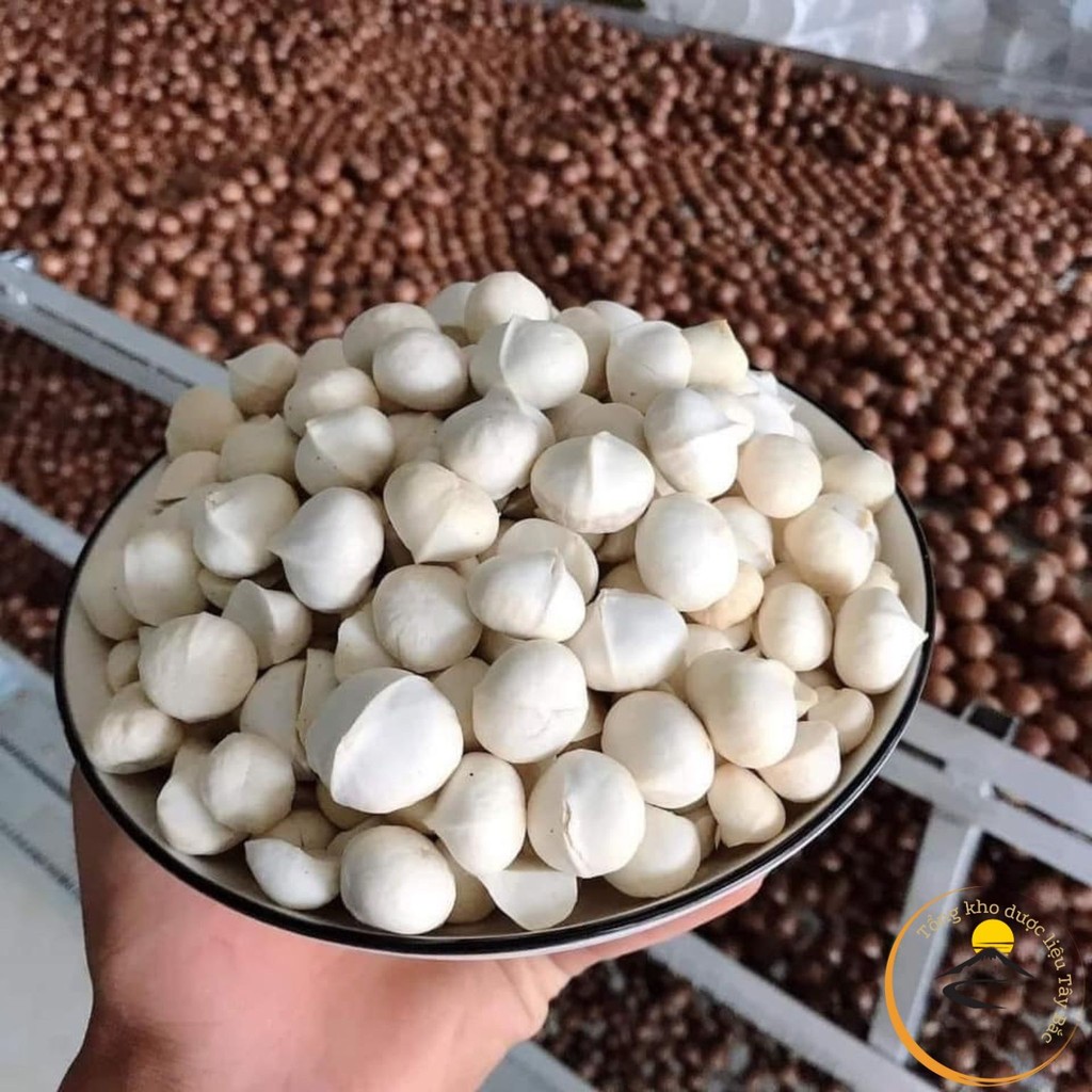 Nhân hạt macca hữu cơ Lai Châu nguyên hạt loại 1 (500g, 1kg) sấy khô tách vỏ từ macca tươi. Mắc ca, 