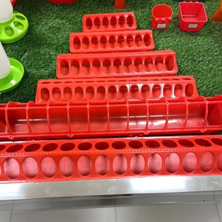  Máng Ăn Cho Gà Con Máng Ăn Cho Chim Cút Máng Ăn Cho Gà Rutin Máng Ăn Gà Máng Thức Ăn Gà Khay Ăn Gà Rutin Máng Ăn Cút 
