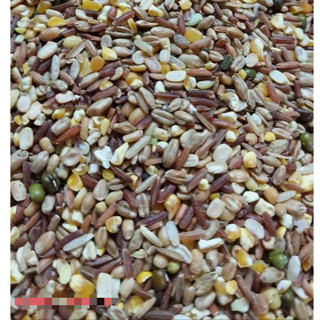 5KG Ngũ Cốc Cho Gà Đá Thức Ăn Gà Đẻ Ngũ Cốc Bồ Câu Ngũ Cốc Gà Nòi Ngũ Cốc Gà Tre Thức Ăn Vịt Thức Ăn Gà Chọi