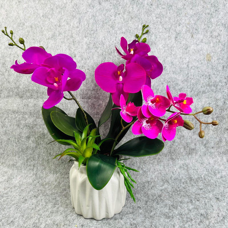 Bình hoa giả-Bình hoa Lan hồ điệp để bàn