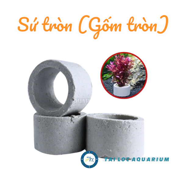 Trang trí bể cá: Viên sứ tròn (viên gốm tròn) Vòng gốm , vòng sứ cố định làm chìm cây thủy sinh