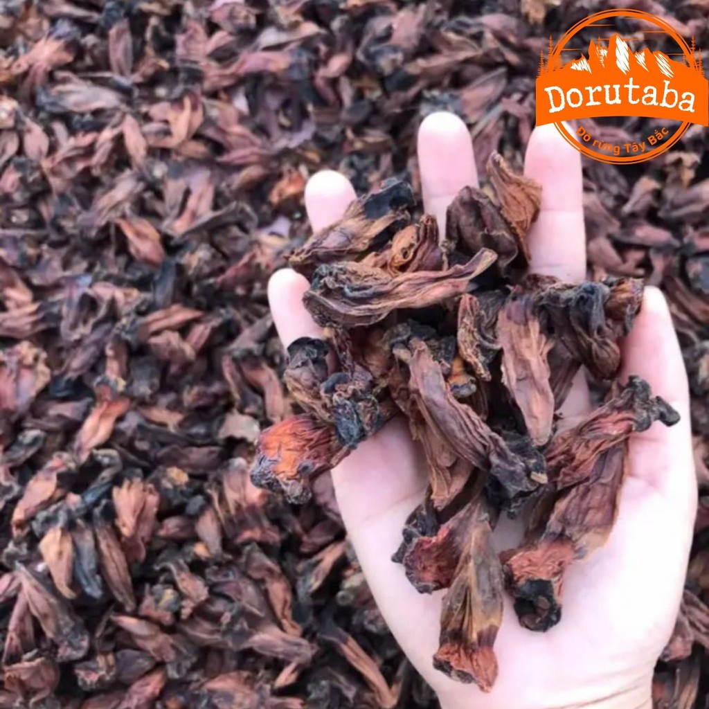 Quả na rừng đỏ sấy khô (chí chuôn chua) Tây Bắc ngâm rượu loại 1  từ quả na rừng tươi chín giúp hoạt