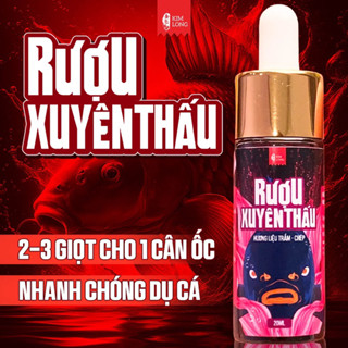 Hương Liệu Câu Cá Rượu Xuyên Thấu Kim Long 20ml Dụ Cá Trắm Đen, Chép Siêu Nhạy