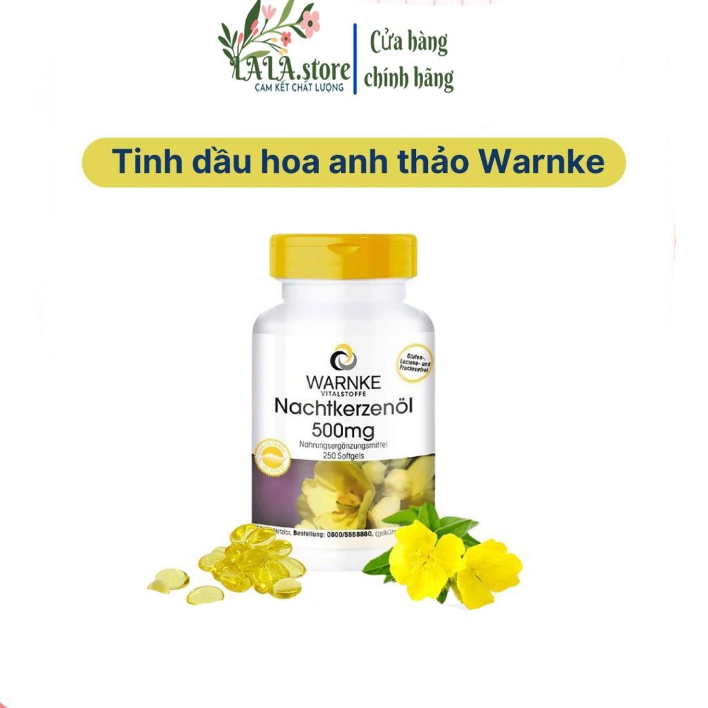 [Hỏa Tốc HCM] Hoa Anh Thảo - Điều hòa nội tiết tố, đẹp da, chống viêm, giảm mụn - Warnke Nachtkerzen