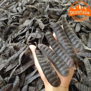  Quả bồ kết trái bồ kết rừng khô gội đầu xông nhà loại 1  200g 500g 1kg . Bồ kết thảo dược vùng núi cao Tây Bắc 