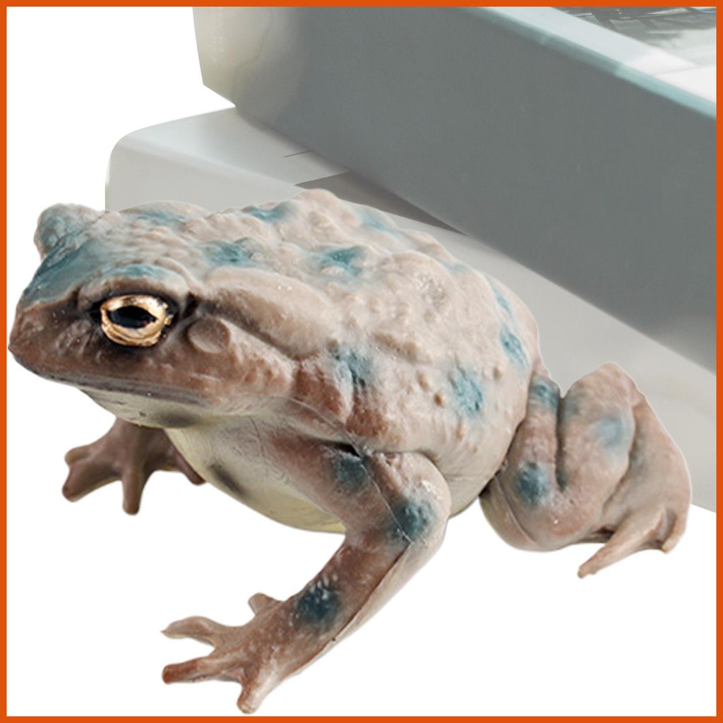 Con cóc Đồ Chơi Tượng Đồ Chơi Thực Tế Ếch Cho Trẻ Em Ếch Các Bức Tượng Ếch Dễ Thương Mô Hình Đồ Chơi