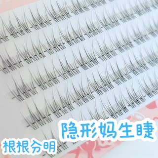 Lông mi giả đuôi cá trong suốt, thân trong suốt, lông mi phân đoạn siêu mịn