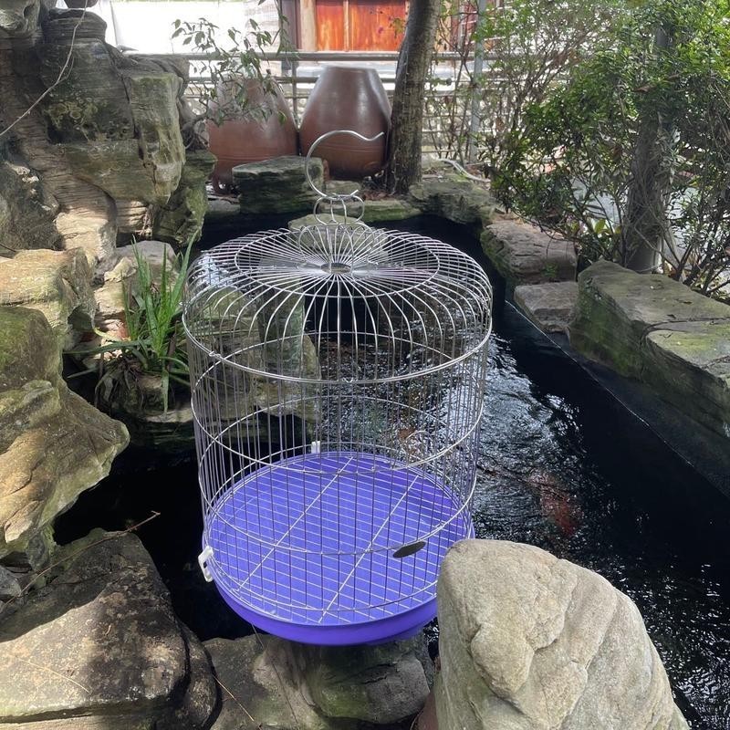 Lồng choè lửa, khướu nhì, khướu, sáo, mi T42 lùn kích thước 41x53cm chất liệu inox 201