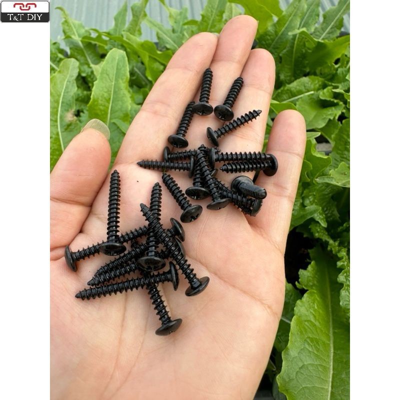 combo Đinh vít đầu dù mũ rộng bắt loa màu đen sơn tĩnh điện M4 20mm và m4 30mm