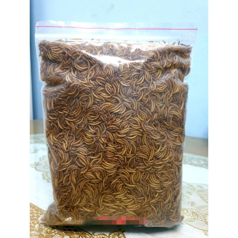 1kg Sâu Gạo gạo Khô Cho Chuột Sâu Khô Cho Gà Con Sâu Khô Cho Cá Sâu Gạo Cho Chim Thức ăn Sâu Khô
