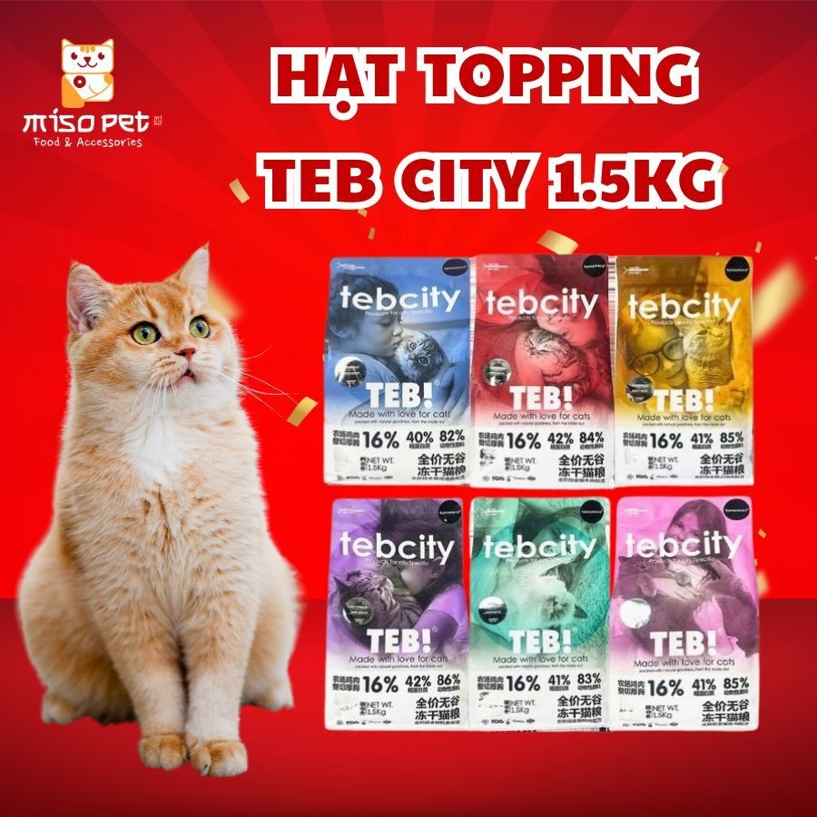 Hạt mèo TEB City 41% Protein Hạt Không Độn Ngũ Cốc Bổ Sung Dinh Dưỡng Cho Mèo, Tiện Lợi Sử Dụng