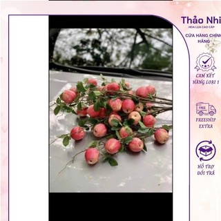cành quả táo giả
