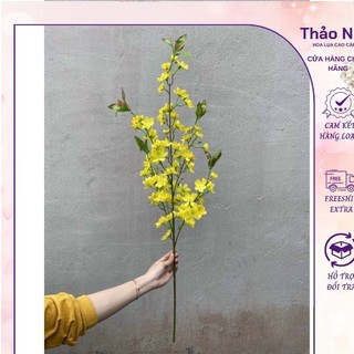 hoa mai giả