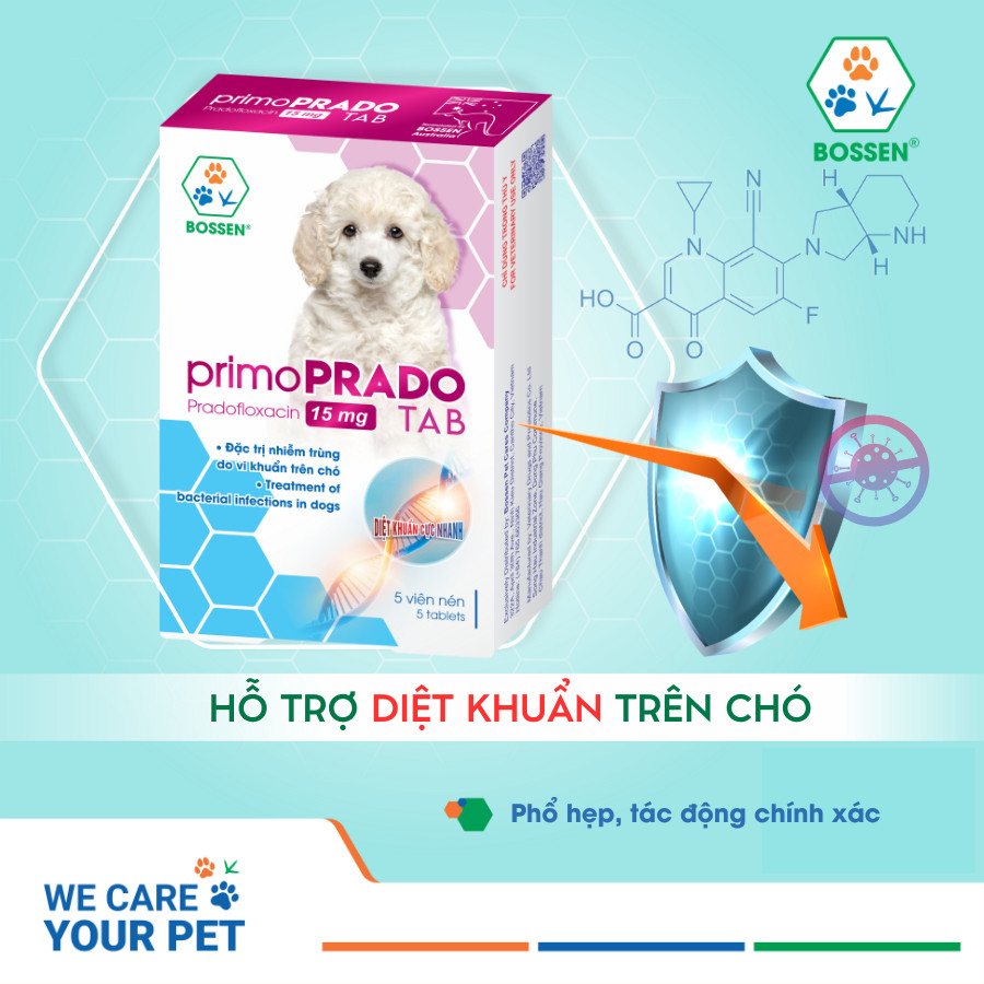 BOSSEN - PRIMO PRADO thực phẩm hỗ trợ giảm nhiễm khuẩn