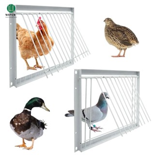 Artisanley Bồ Câu Cửa Vào, Bẫy Lối Vào Đơn Pigeon Loft Door, Chim Bắt Lồng Có Thể Tháo Rời 30 / 40x26cm Bẫy Cửa Lồng Chim