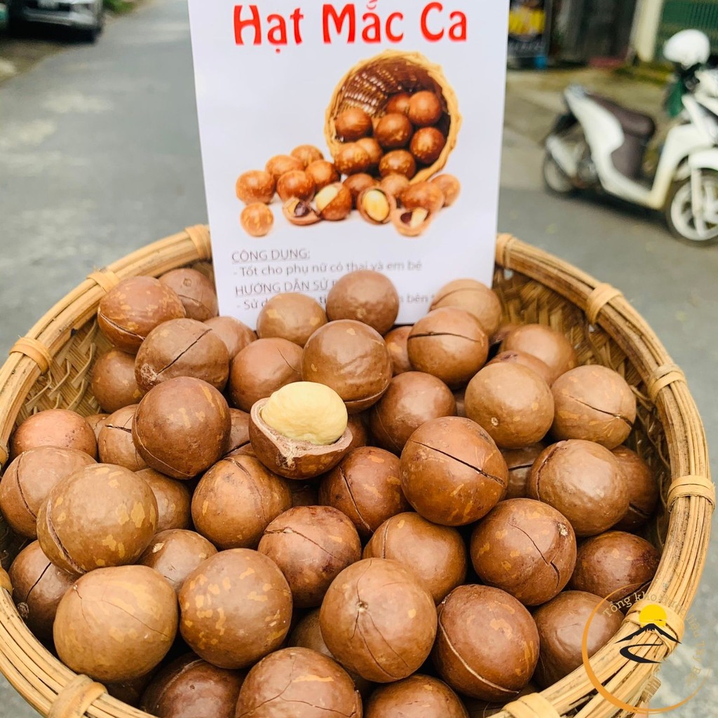 Hạt macca hữu cơ Lai Châu size trung, đại loại 1 (500g, 1kg) sấy khô nứt vỏ từ macca tươi. Mắc ca, m
