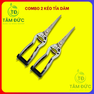Kéo tỉa cành cây, kéo cắt tỉa dăm thép trắng sắc bén, không gỉ chuyên tỉa dăm, tỉa tán bonsai, cây cảnh dài 21cm
