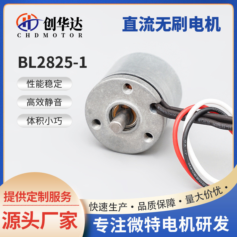 Nhà sản xuất Đông Quan BL2825-1 Gear Speed Micro Motor 12v Máy pha cà phê Máy bơm nước DC Động cơ kh