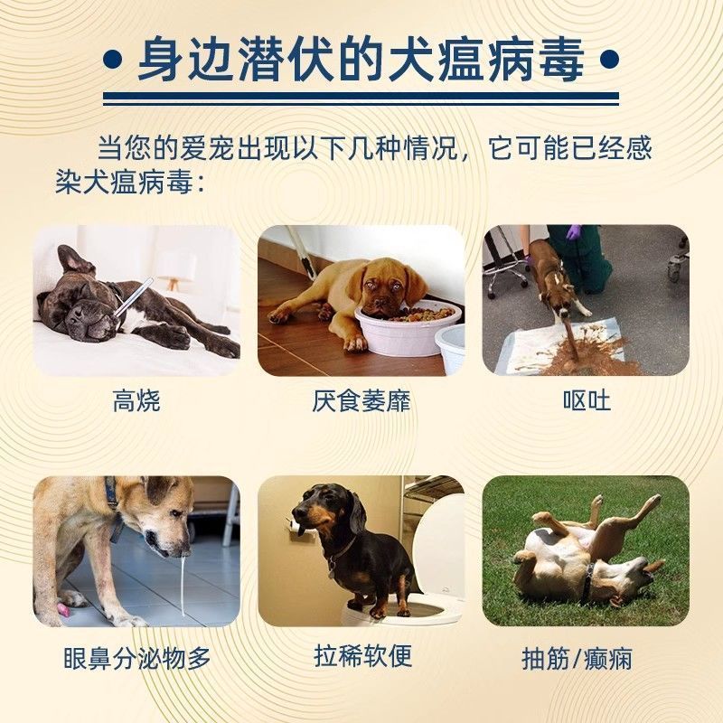 Thẻ Kiểm Tra Chó cdvcpv Puppy Hot Puppy Set Giấy Kiểm Tra 4.3 Giấy Kiểm Tra Nhiễm Trùng Cho Chó
