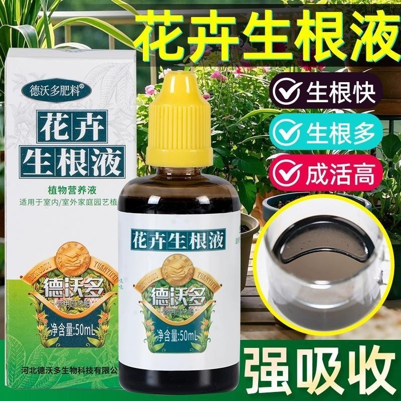 Succulent Root King Fast Root Tăng cường chất tạo giống Cây mọng nước Phân bón nước nuôi hoa chuyên 