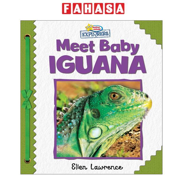 Sách ngoại văn: Active Minds Explorers - Meet Baby Iguana
