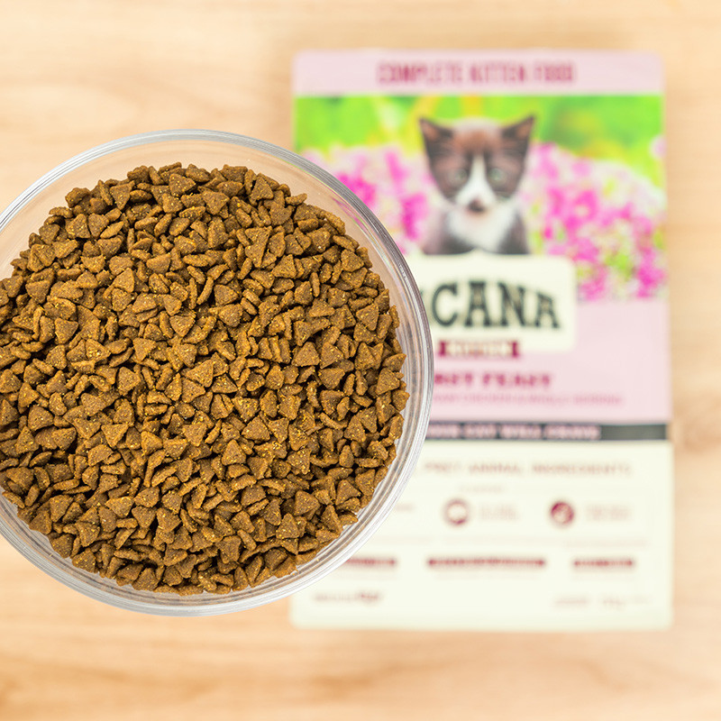 Thức ăn cho mèo con ACANA ACANA First Feast Nhập khẩu từ Hoa Kỳ Dinh dưỡng tăng cường chất béo