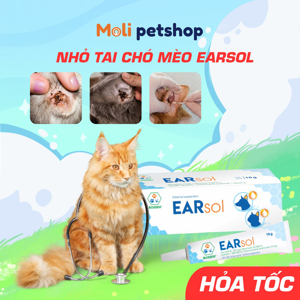 Nhỏ Tai Cho Chó Mèo EARsol hỗ trợ giảm viêm tai ngoài do vi khuẩn, nấm, rận ở chó mèo