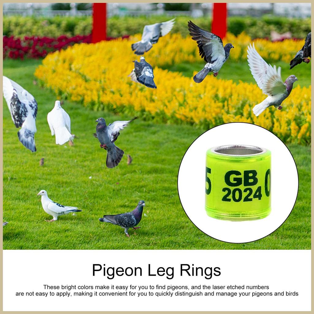 Chim Chân Nhẫn Bồ Câu Nhẫn 50 Chiếc Nhà Chim Phụ Kiện Nhẫn Chân Chim Pegeon Phụ Kiện Dễ Dàng xeeahth