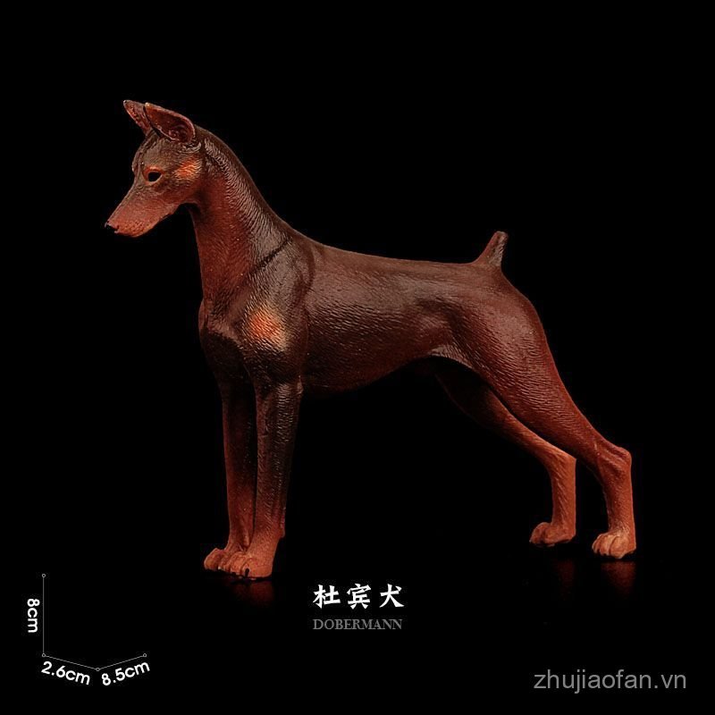 T Tongde Mô Phỏng Động Vật Đồ Chơi Mô Hình Doberman Doberman Nhựa Chó Trẻ Em Quà Tặng Đồ Trang Trí