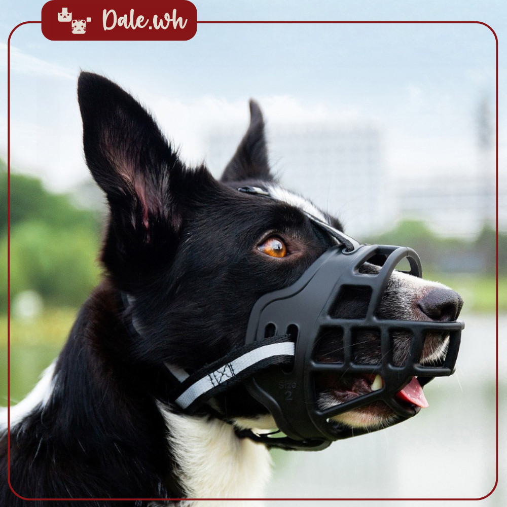 Rọ mõm chó, rọ mõm chống cắn cho chó, rọ mỗm silicon mềm phản quang cho chó