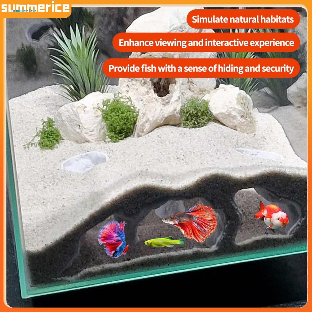 Tăng cường trải nghiệm xem và tương tác: Thiết kế "đường hầm dưới lòng đất" độc đáo của Kuhli Loach 