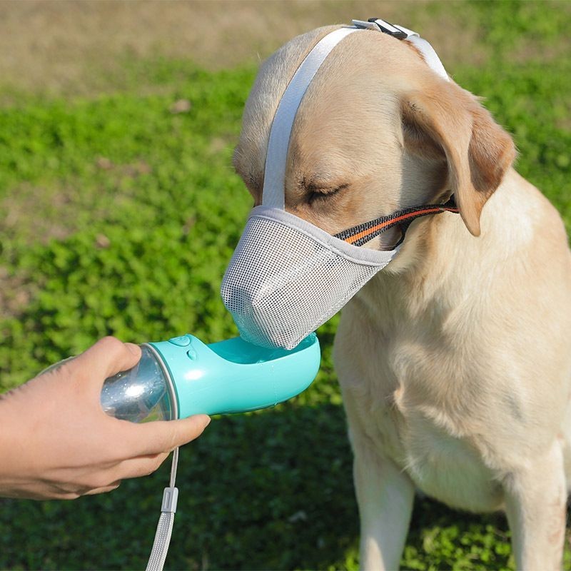 Chó Mõm Thú Cưng Mõm Lưới Chống Barking Mõm Chó Chống Cắn Chống Ăn Chống Barking Trong Suốt20260410