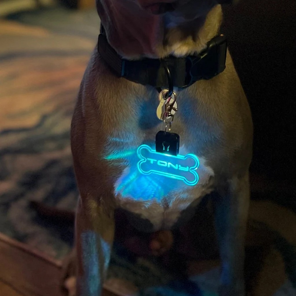 Acrylic LED Dog Tag Pet Night Walking Safety Light Tùy chỉnh Tên thú cưng Khắc Laser SQCW