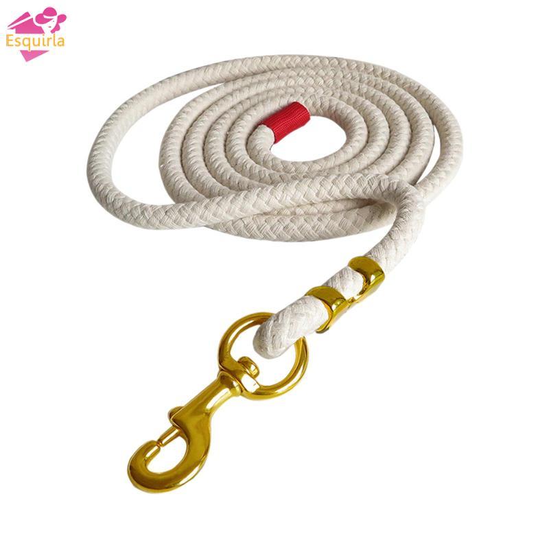 Dây Webbing Lunge Dành Cho Huấn Luyện Chó Và Cừu