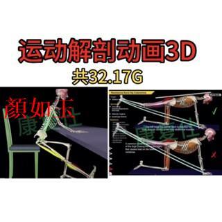 Yan Ru Chất liệu giải phẫu thể thao Video giảng dạy 3D (Sổ tay miễn phí)