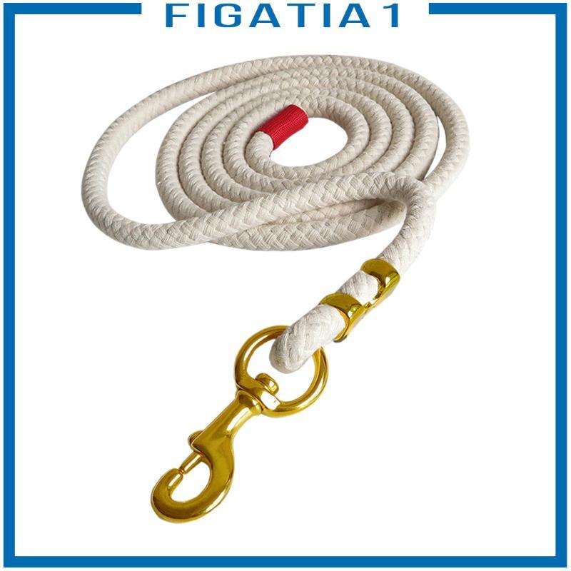 Dây webbing lunge rein dành cho huấn luyện chó và cừu