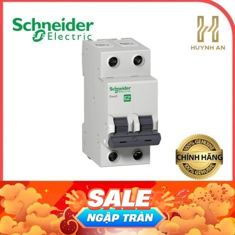 Aptomat 2P Easy9 Schneider EZ9F34206 EZ9F34210 EZ9F34216 EZ9F34220 EZ9F34225 EZ9F34232 EZ9F34240 EZ9