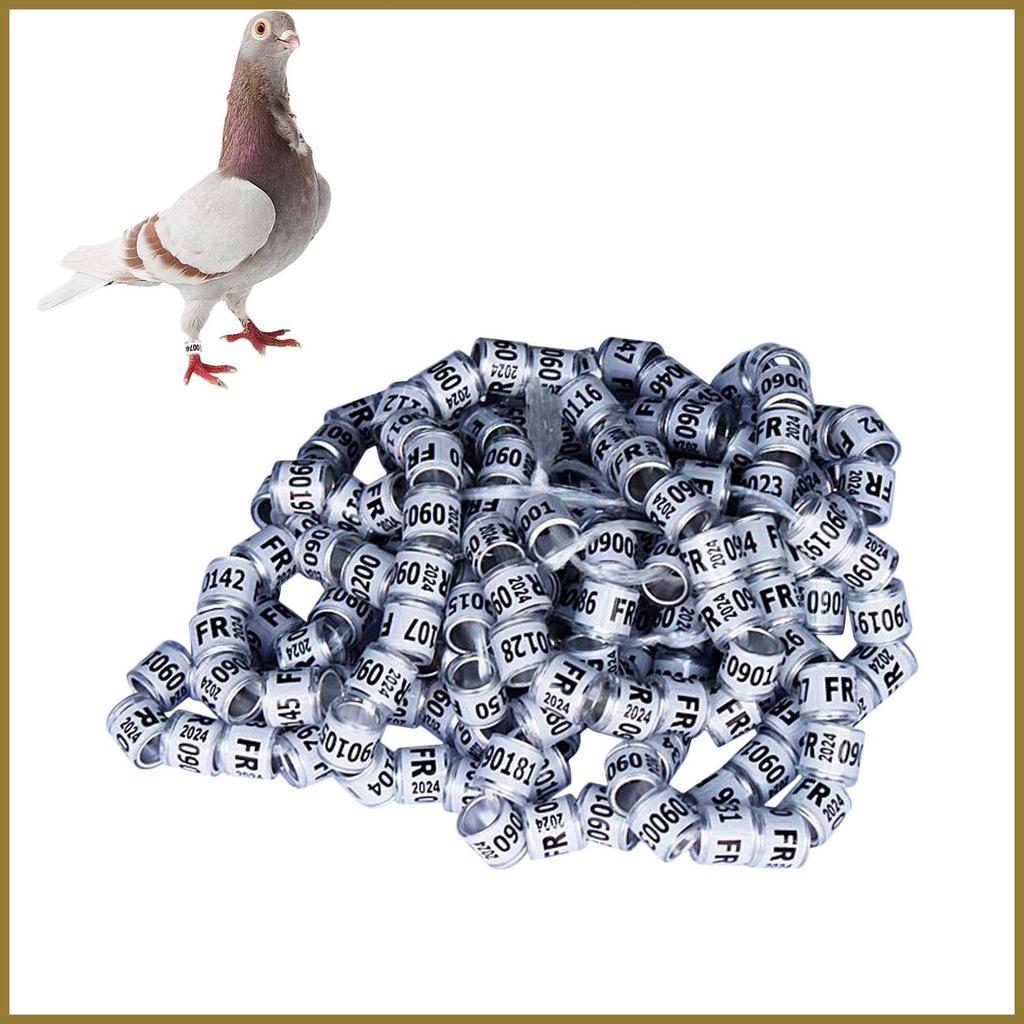 Bồ Câu Dây Nhẫn Bồ Câu Nhẫn 50 Chiếc Nhà Chim Phụ Kiện Chân Chim Nhẫn Pegeon Phụ Kiện Dễ Dàng tamth