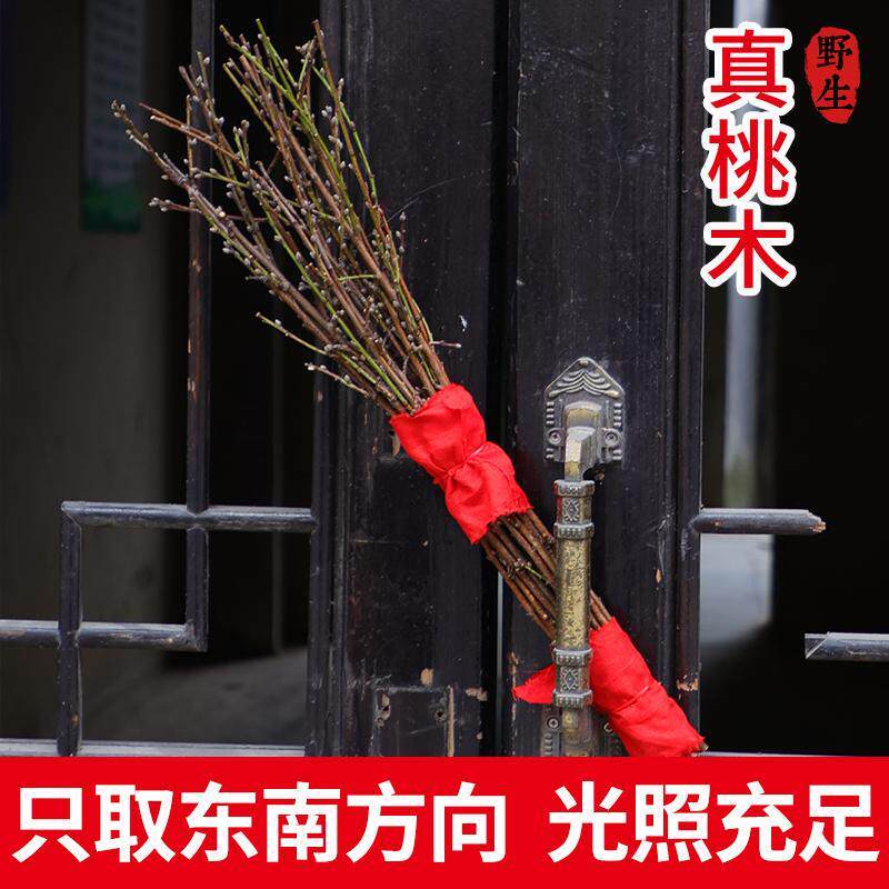 Town House Old Peach Wood Wild Peach Branches Baby Pregnant Women Baby Scare Crying Body Protection 