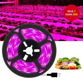  Dc 5V USB LED Phát Triển Ánh Sáng Full Spectrum 1-5m Cây Phát Triển Đèn LED Dải Phyto Đèn Cho Rau Hoa Trồng Lều 