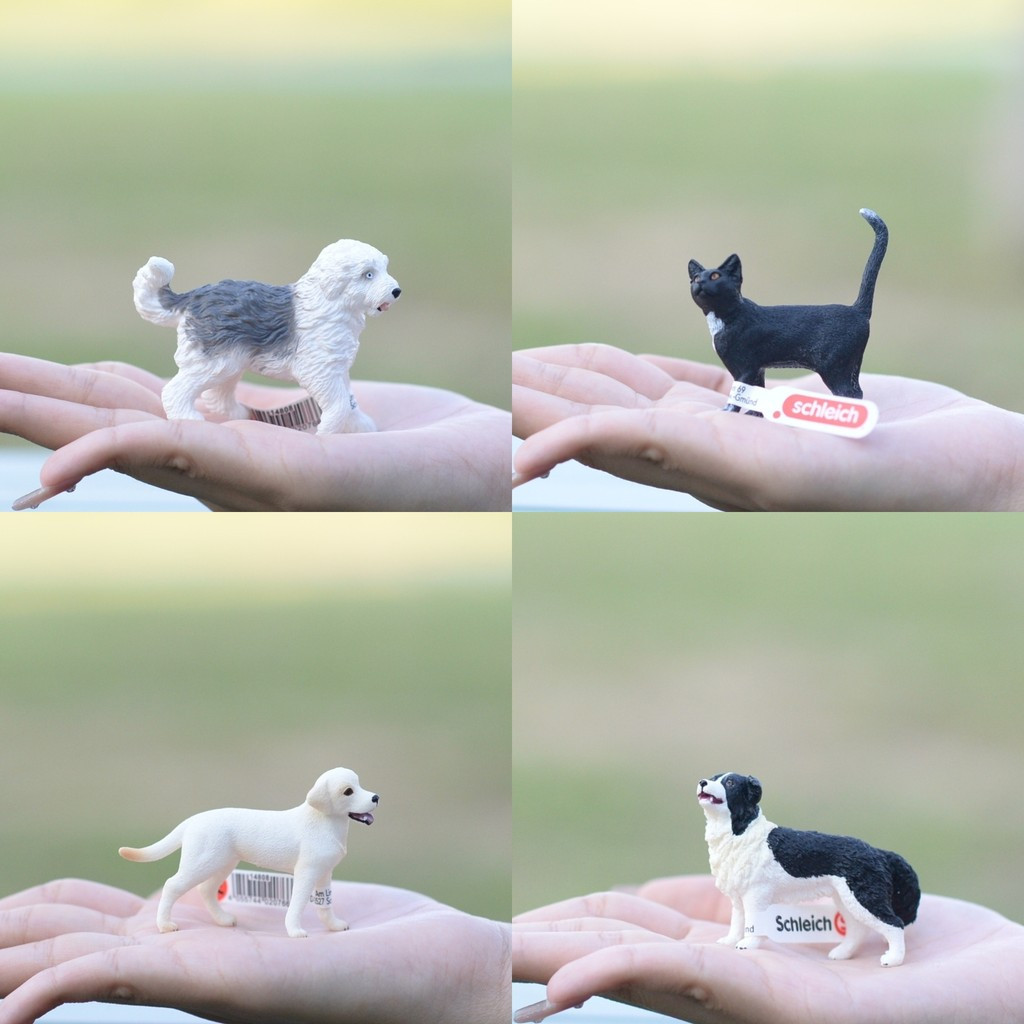 Đức Schleich Schleich Puppy Shepherd Husky Shiba Inu Akita Golden Retriever Đồ Chơi Mô Hình