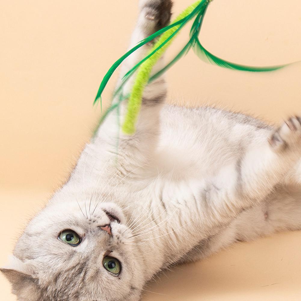 Chó Đuôi Cỏ Mèo Đồ Chơi Cực Dài Chống Cắn Mèo Vui Nhộn Mèo Cầm Tay Căng Thẳng Và Đồ Chơi trêu chọc Đ
