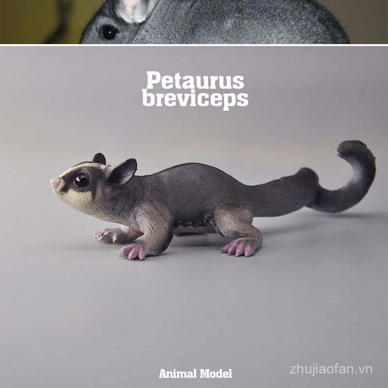 Tongde Mô Phỏng Mật Ong Glider Mô Hình Đường Glider Trượt Âm Chuột Glider Chuột Glider Đồ Chơi Nhận 