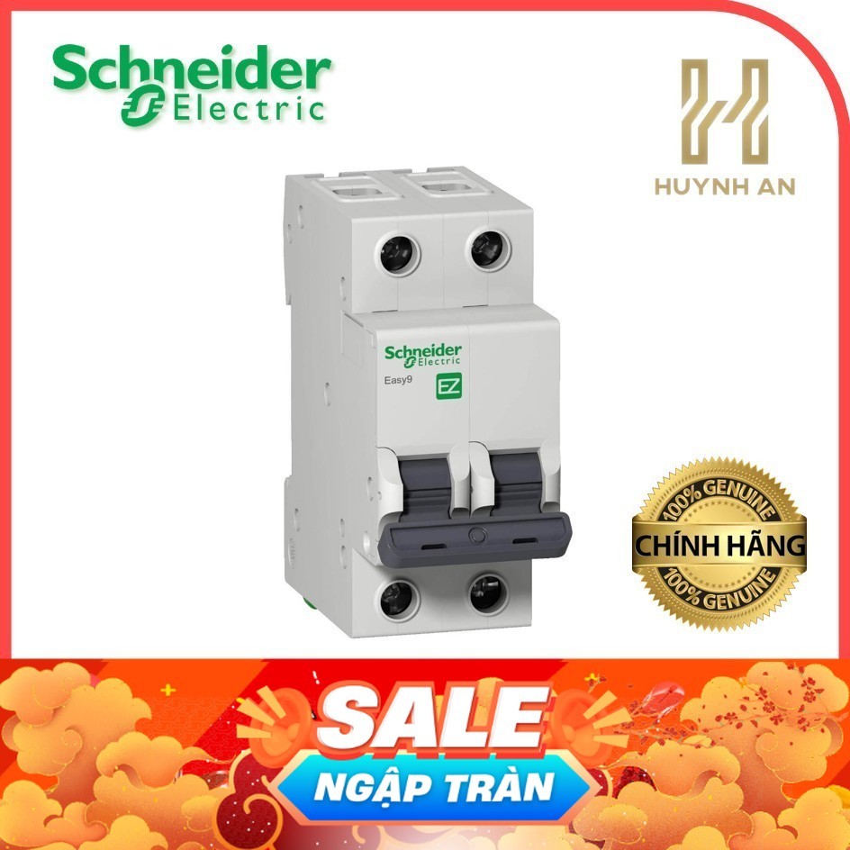 (SE) Aptomat 2P Easy9 Schneider EZ9F34206 EZ9F34210 EZ9F34216 EZ9F34220 EZ9F34225 EZ9F34232 EZ9F3424