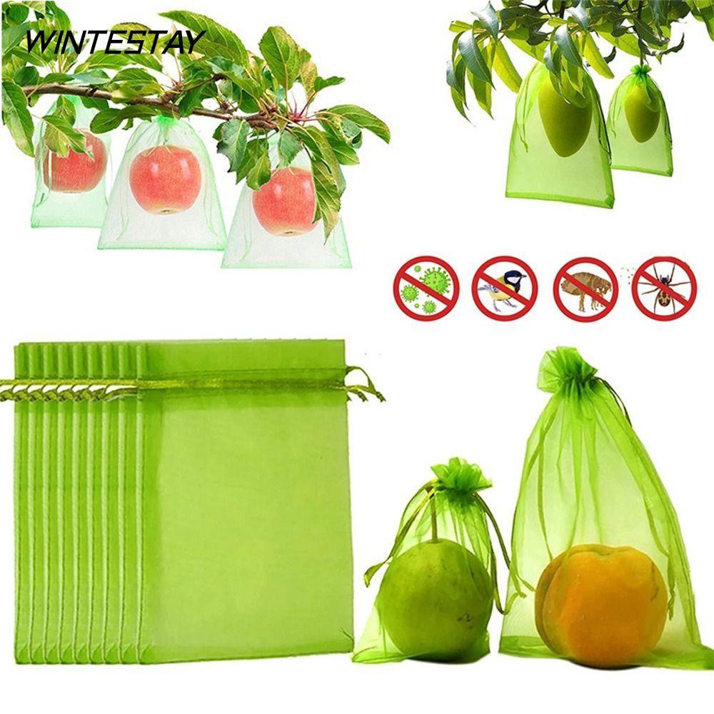 WINTESTAY 30 Chiếc Túi Trái Cây Kiểm Soát Dịch Hại Nylon Bảo Vệ Trái Cây Bảo Vệ Thực Vật Hoa Rau Dây